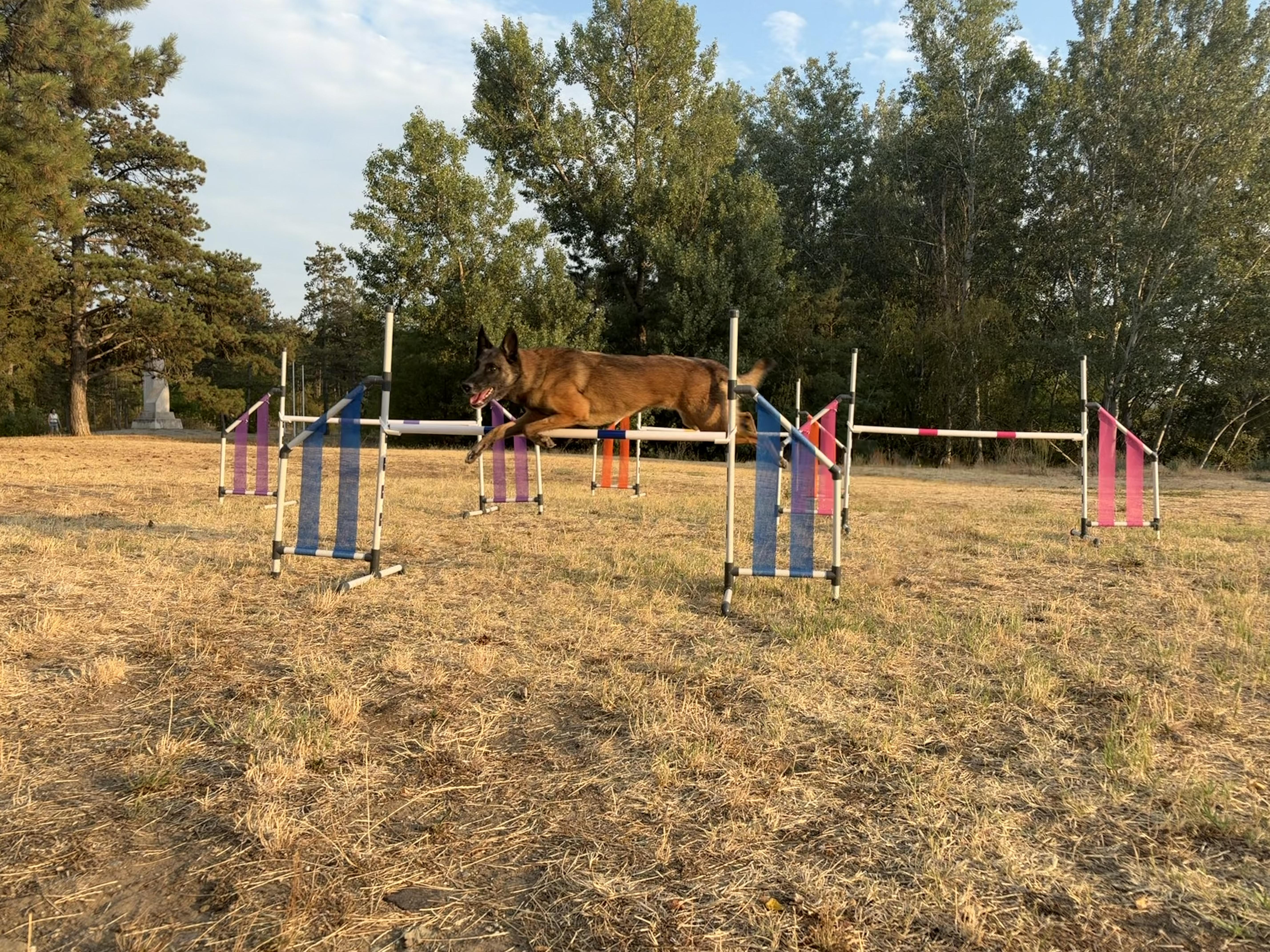 PVC Plastic jump with mesh