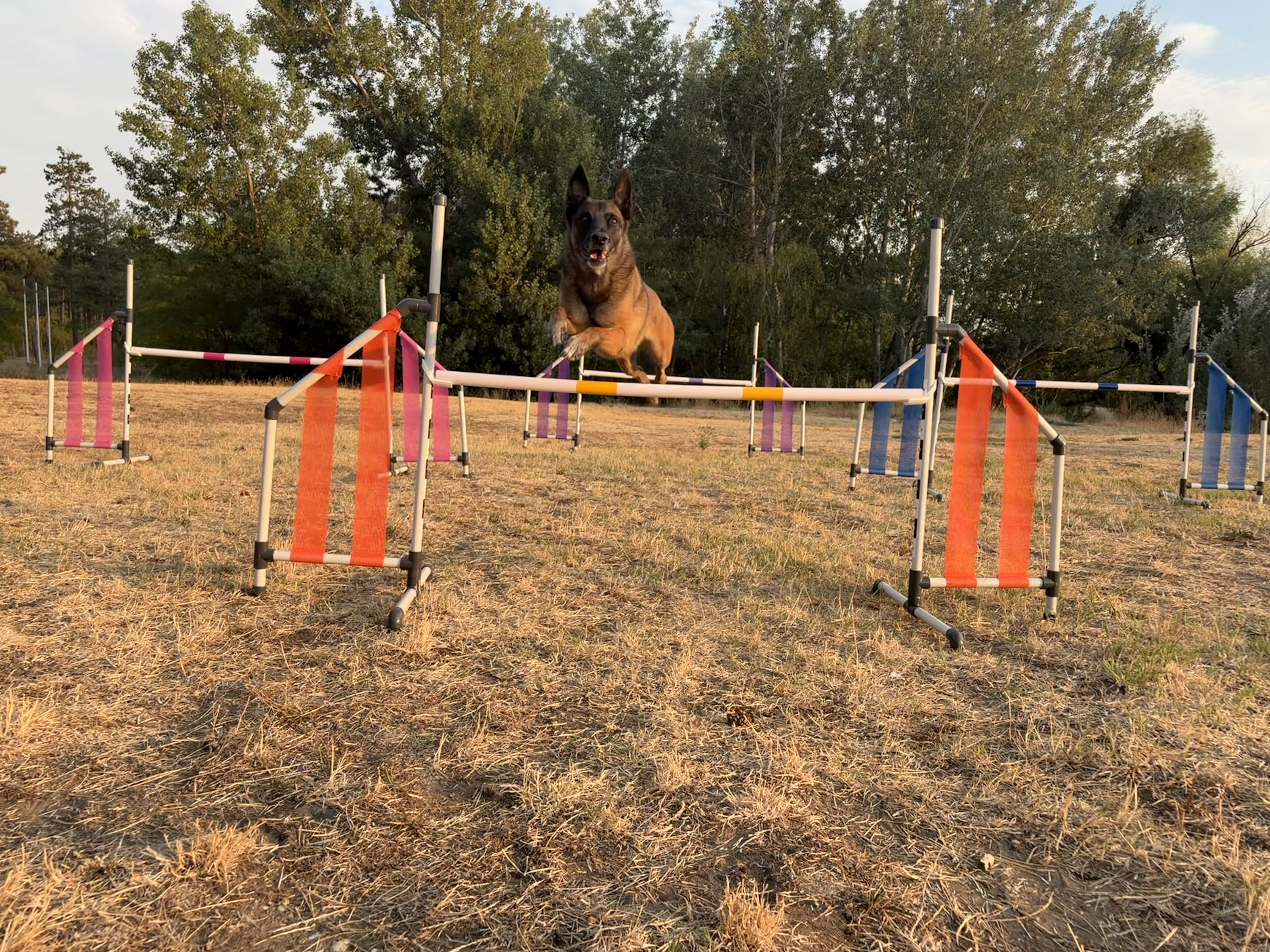 PVC Plastic jump with mesh