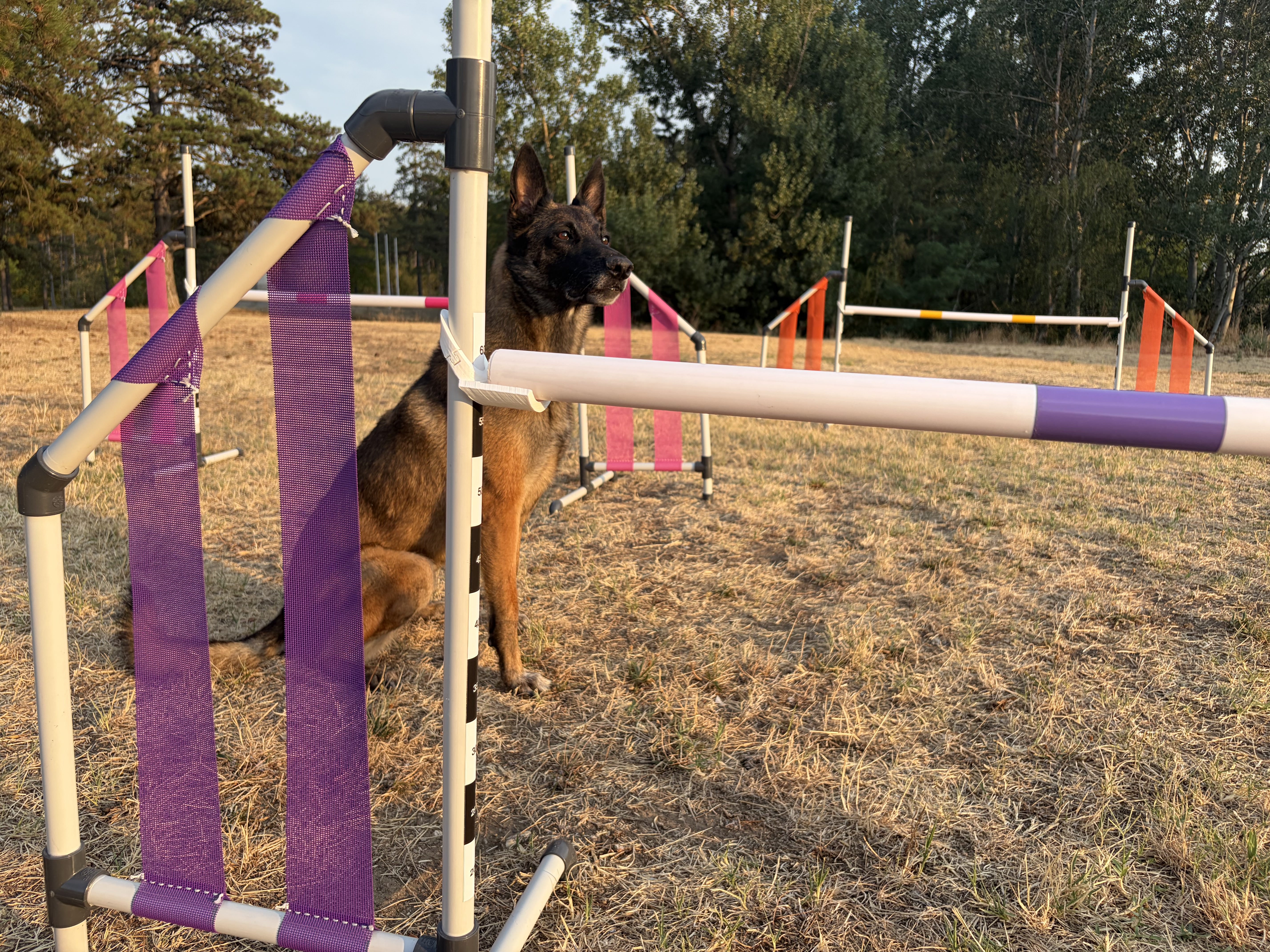PVC Plastic jump with mesh